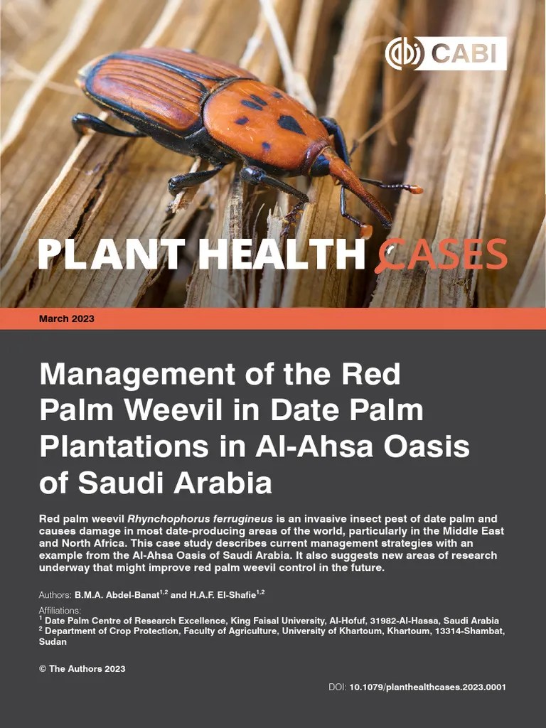 Red Palm Weevil Management In Al Ahsa Pdf Pupa