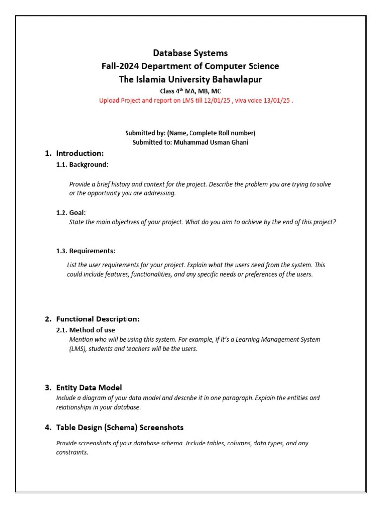 Project Report Database Systems | PDF