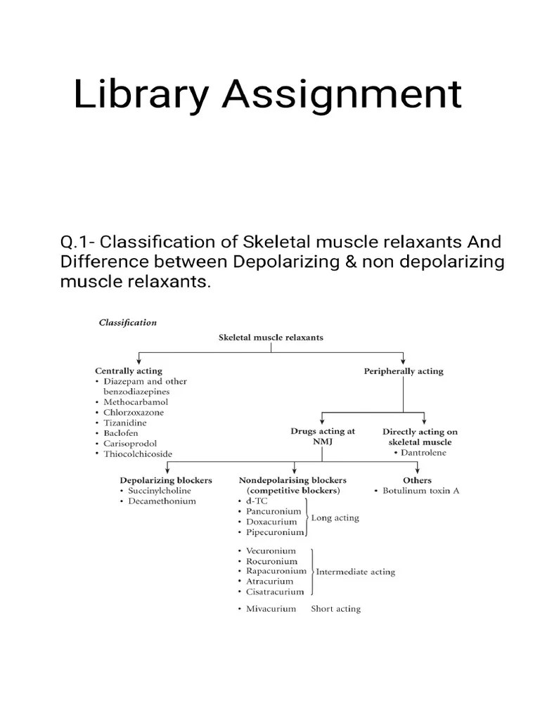III) Library Assignment | PDF