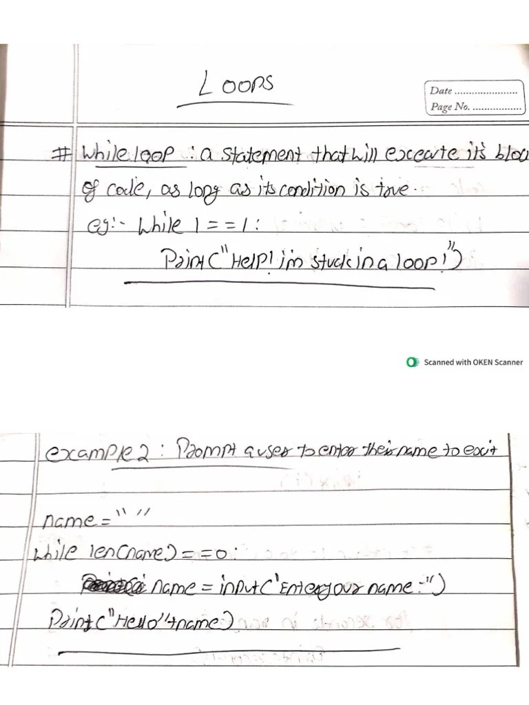 CH 2 Control Statements (Loops, Continue Break And Pass) | PDF