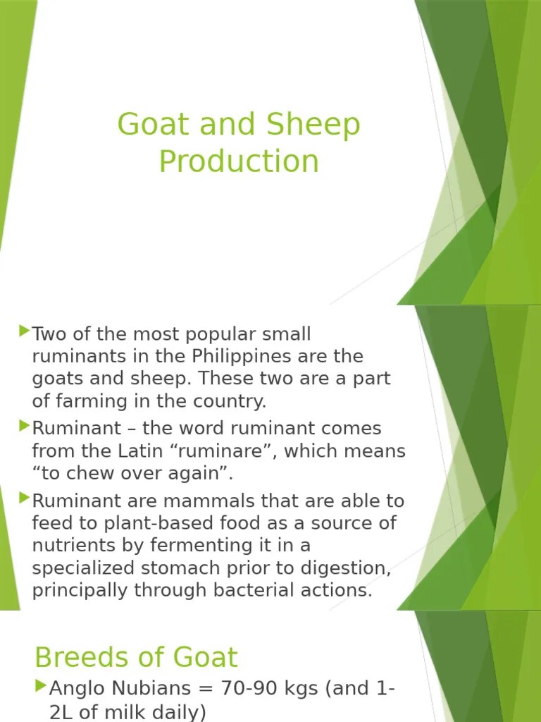 Goat And Sheep Production | PDF | Goat | Sheep