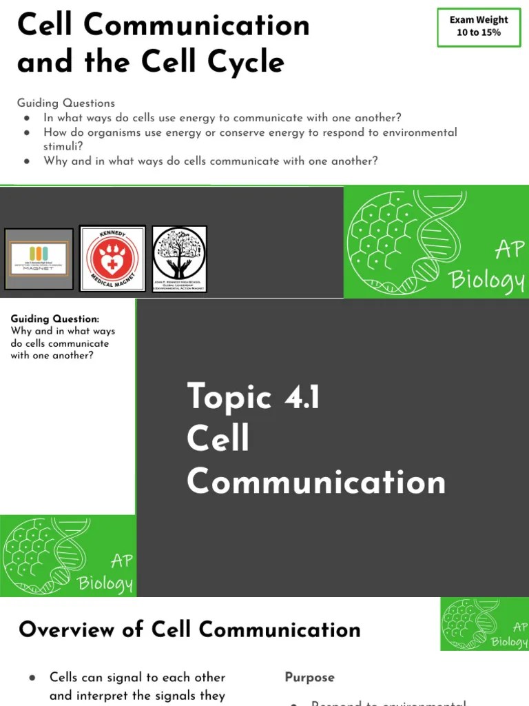 Unit 4 Master Slides | PDF | Cell Signaling | Mitosis