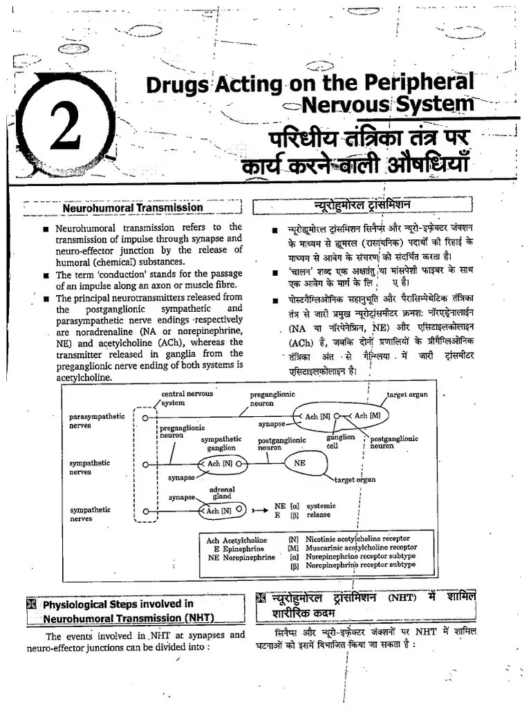 2. Drugs Acting On The Peripheral Nervous System | PDF