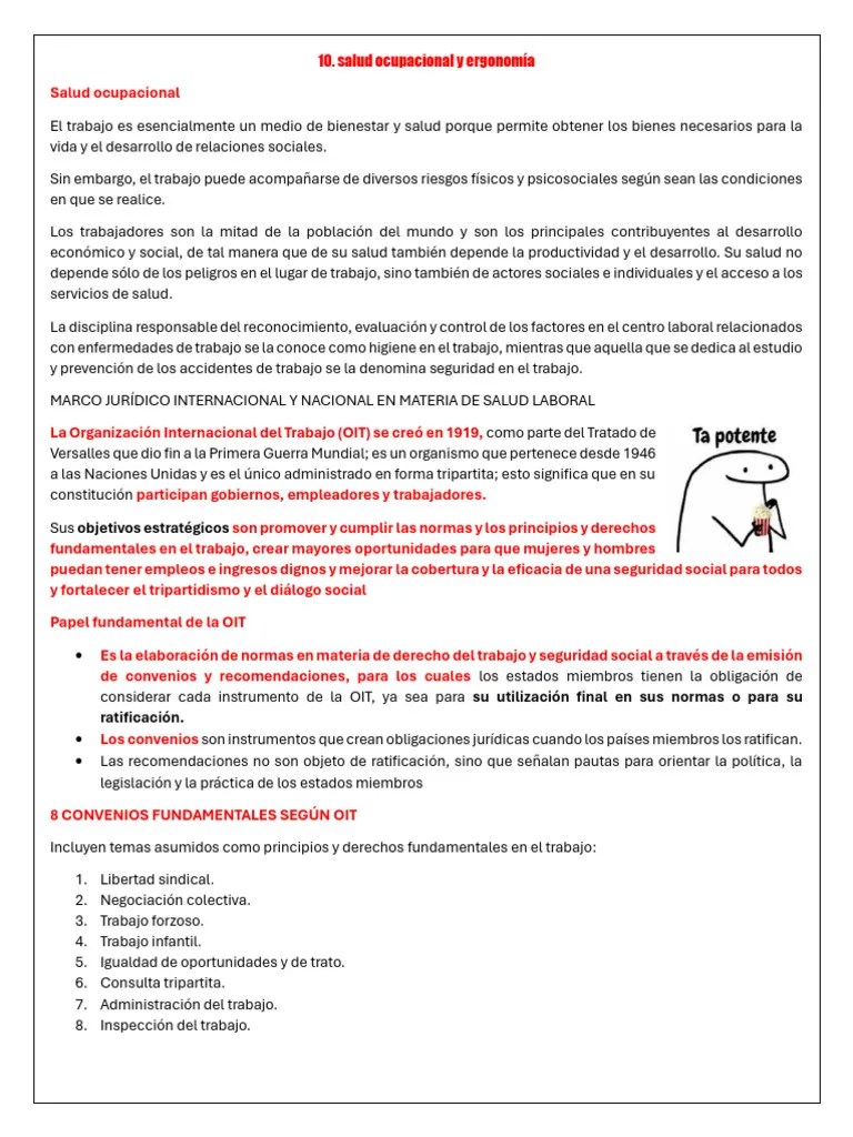 10. SALUD OCUPACIONAL Y ERGONOMIA | PDF | Factores Humanos Y Ergonomía | Seguridad Y Salud ...