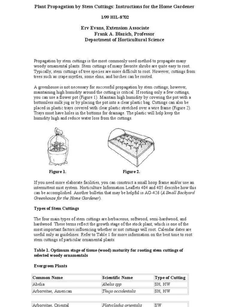 Plant Propagation | PDF | Root | Plants