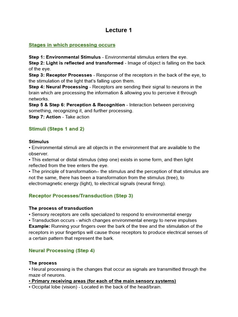 Sensation & Perception Notes 2 | PDF | Psychophysics | Action Potential