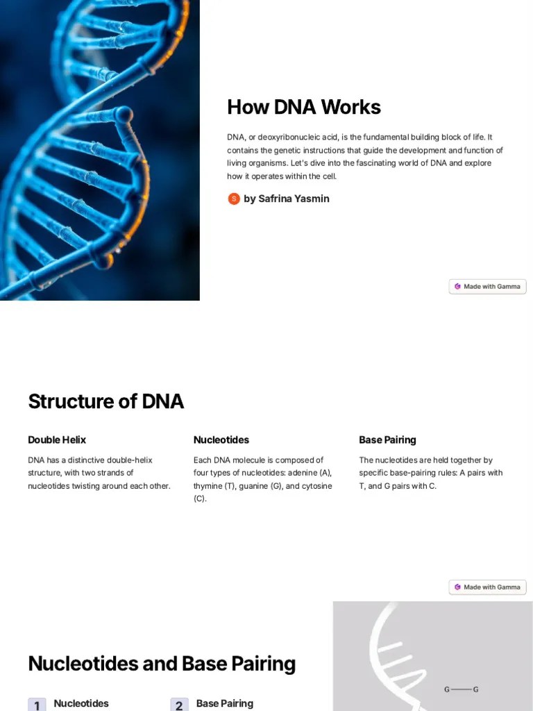 How-DNA-Works | PDF | Dna | Genetics