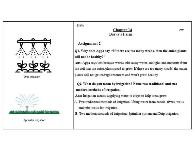 Chapter 14 - ASSIGNMENT 2 | PDF