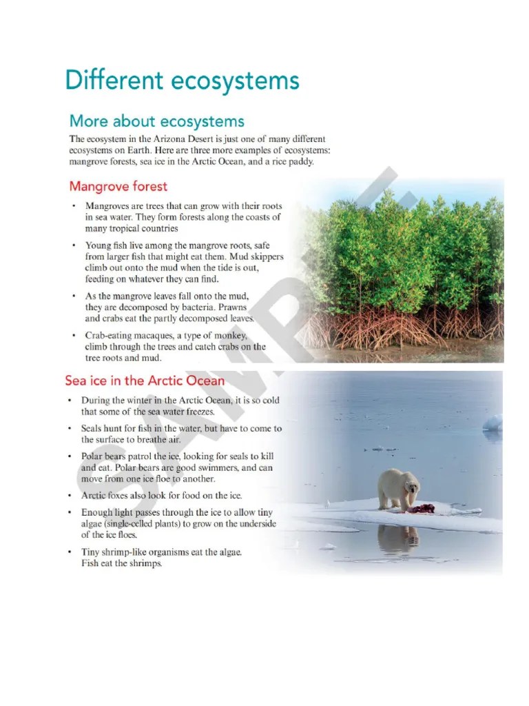 Different Ecosystems-bioaccumulation-ddt Reference Notes | PDF