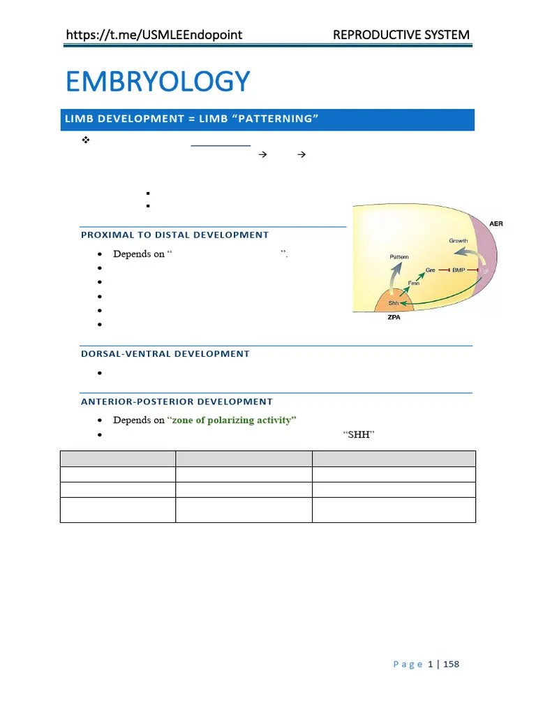 Reproductive | PDF | Uterus | Vagina