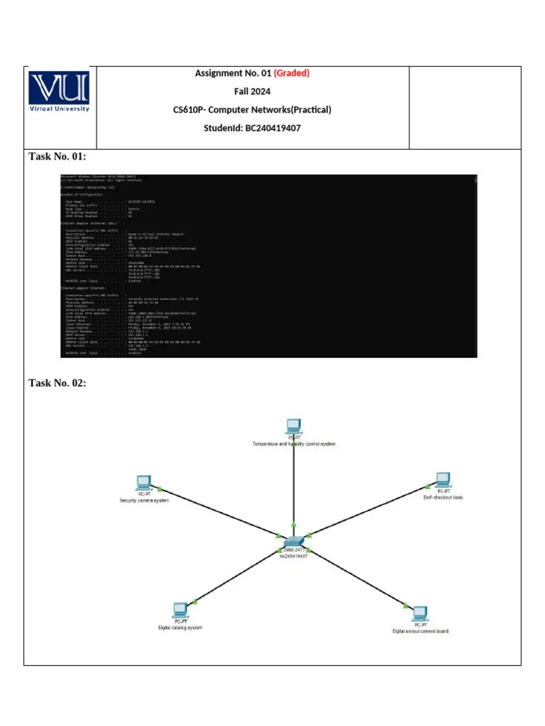 BC240419407 (CS610P Assignment-1) | PDF