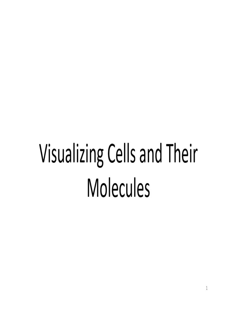 2 Visualizing Cells 1 | PDF | Microscopy | Electron Microscope