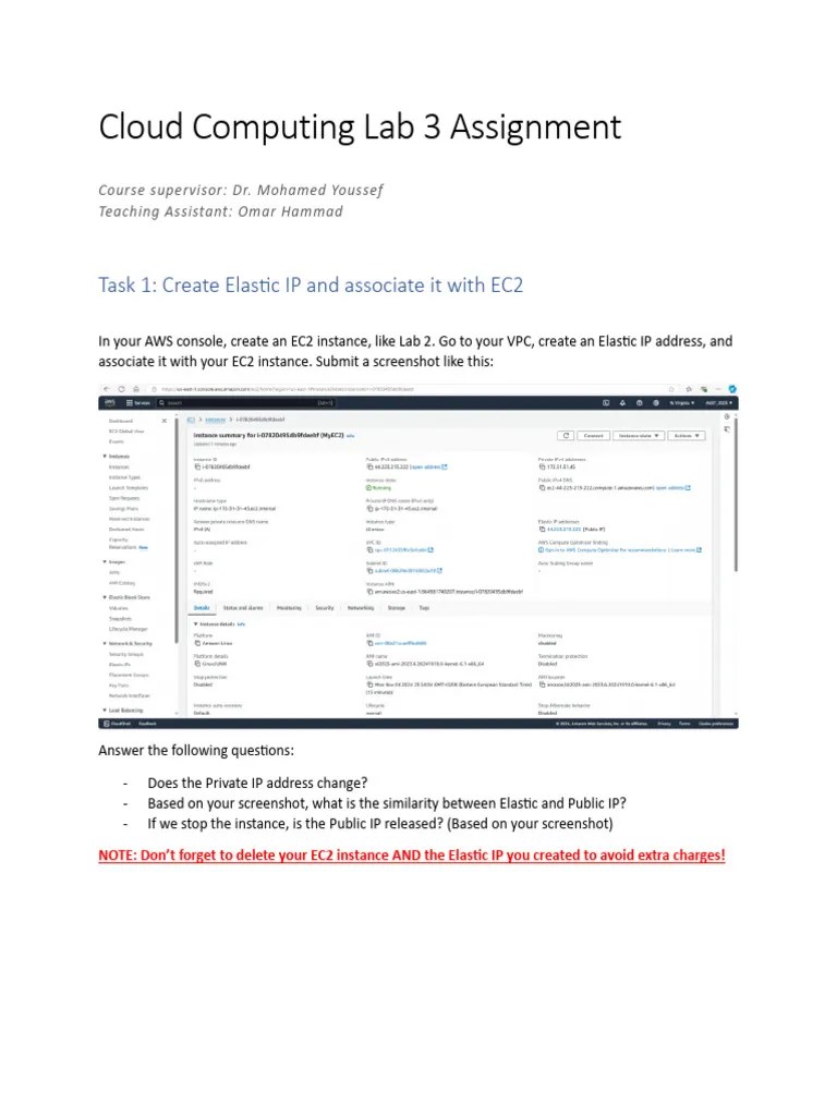 Cloud Computing Lab 3 Assignment | PDF