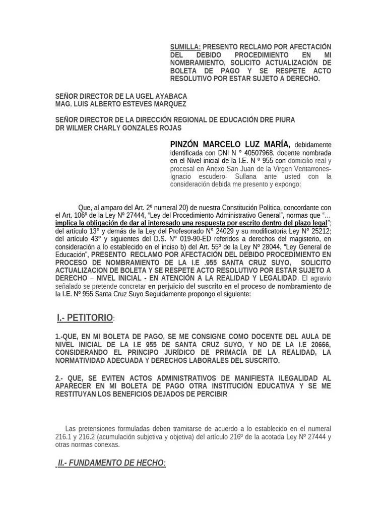 RECLAMO LUZ PINZON | PDF | Gobierno | Justicia