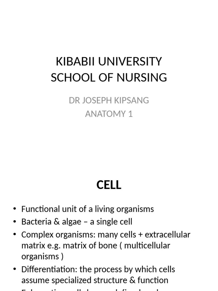 THE CELL | PDF | Cell (Biology) | Cell Membrane