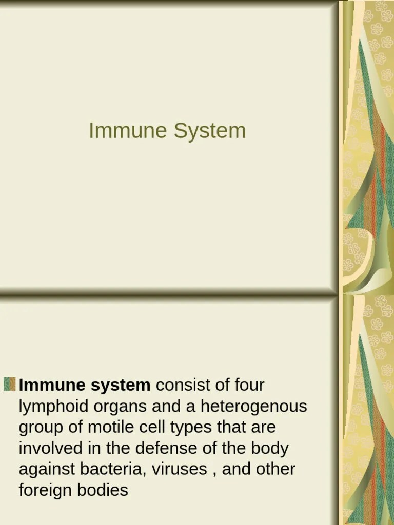Immune System | PDF | Lymph Node | Immune System