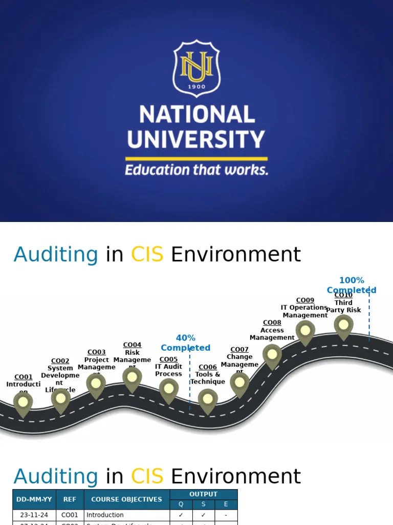 CO05 IT Audit Process | PDF | Audit | Financial Audit