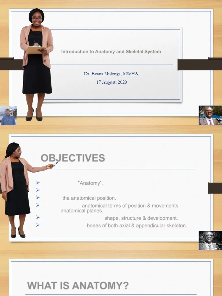 1. Introduction To Anatomy And The Skeletal System | PDF | Anatomical Terms Of Motion ...