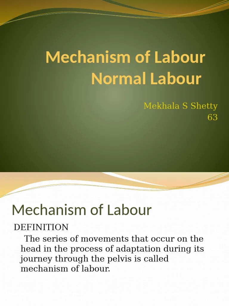 Mechanism Of Labor | PDF | Pelvis | Anatomical Terms Of Motion