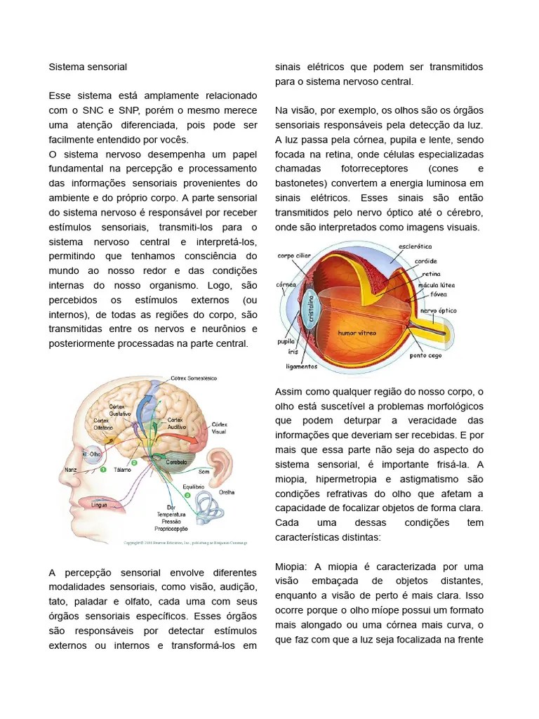 Sistema Sensorial | PDF | Sistema Visual | Sistema Nervoso