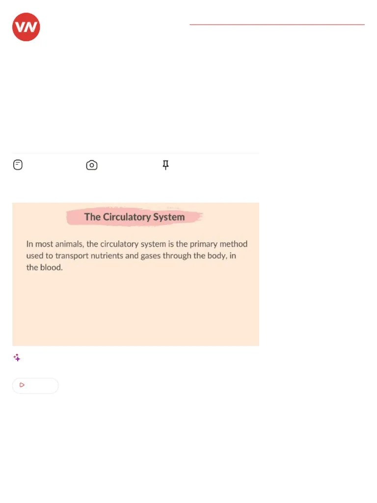 Transport In Animals Part 1 Cambridge IGCSE Biology 0610 For Exams In ...