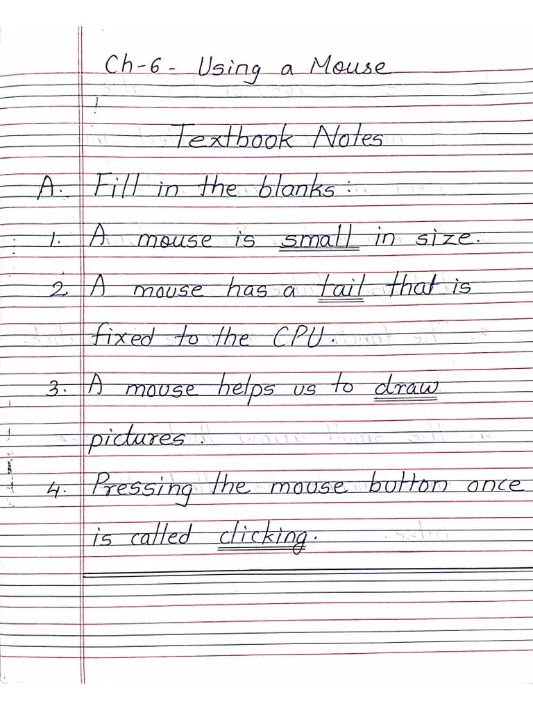 Using A Mouse_612202492058 (1) | PDF