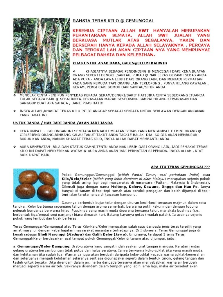 Teras kemuning hitam kayu emas dari tanah melayu shopee malaysia. Rahsia Teras Kilo Pdf