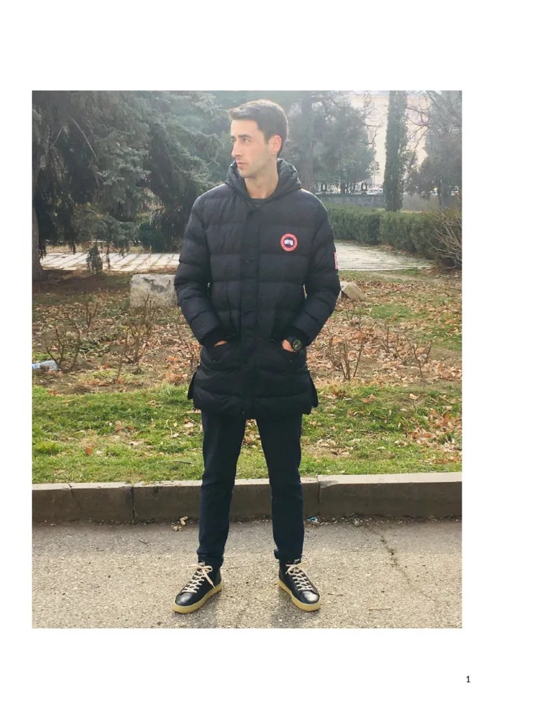 ლექსო ტურაშვილი | PDF