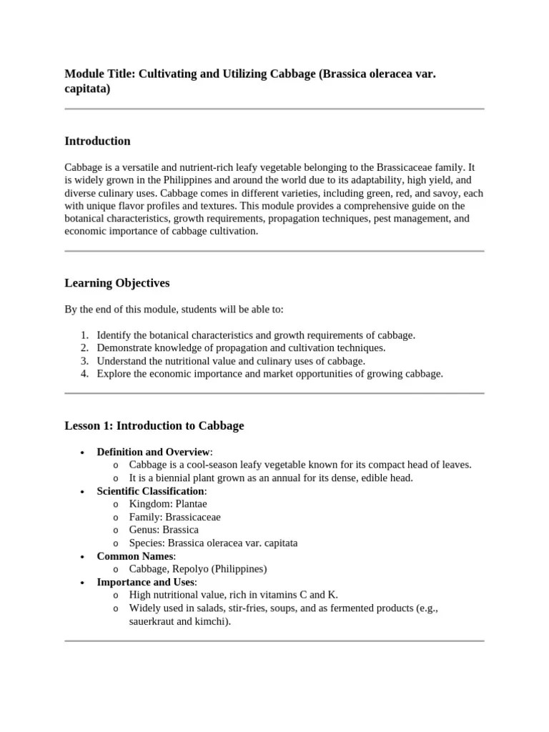 Cabbage | PDF | Cabbage | Agronomy