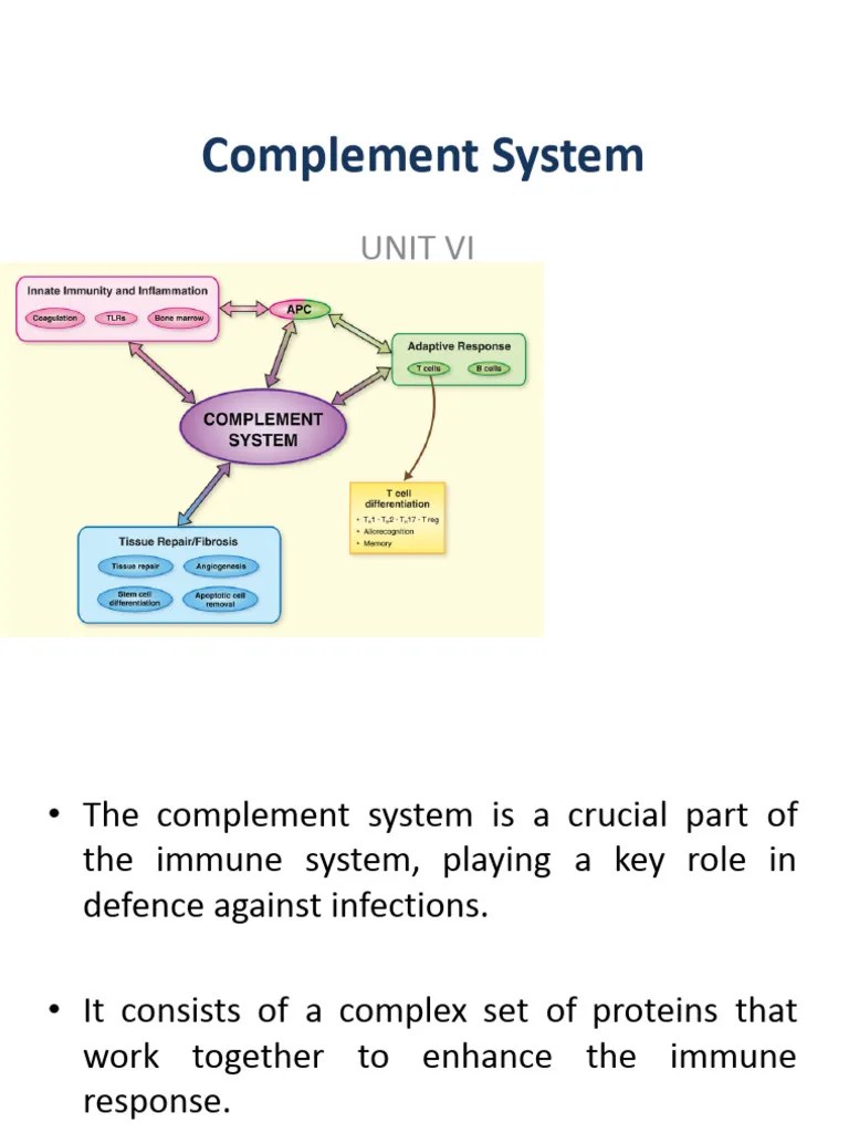 Immunology Unit 7 The Complement System Pdf Complement System Immune System - Premium Sunset Pattern Gallery - HD