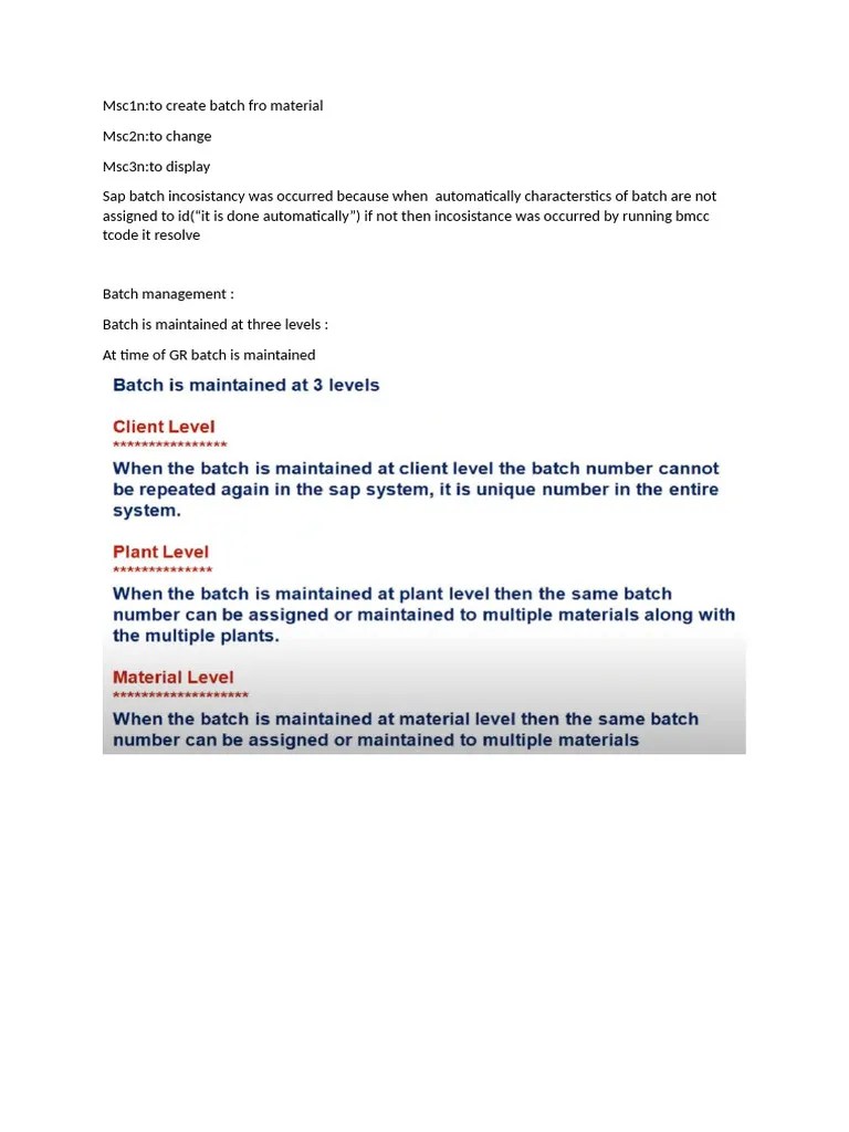 Batch Management Pdf Shelf Life Computing