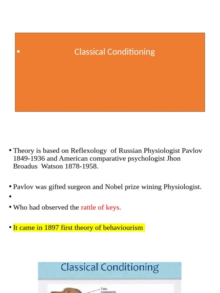 Classical Conditioning | PDF
