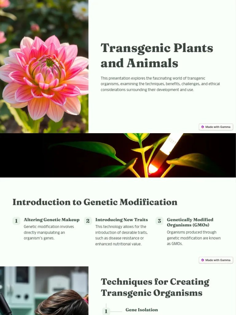 Transgenic plants and animals