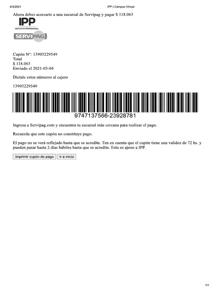 IPP _ Campus Virtual | PDF