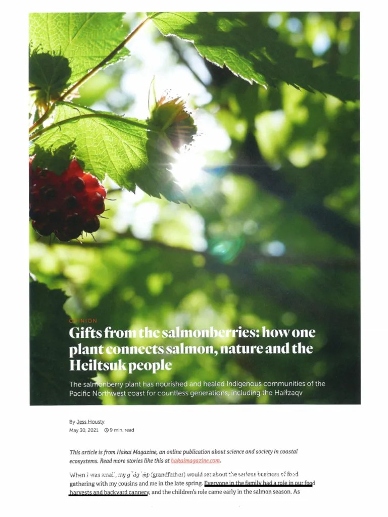 Gift From The Salmonberries | PDF
