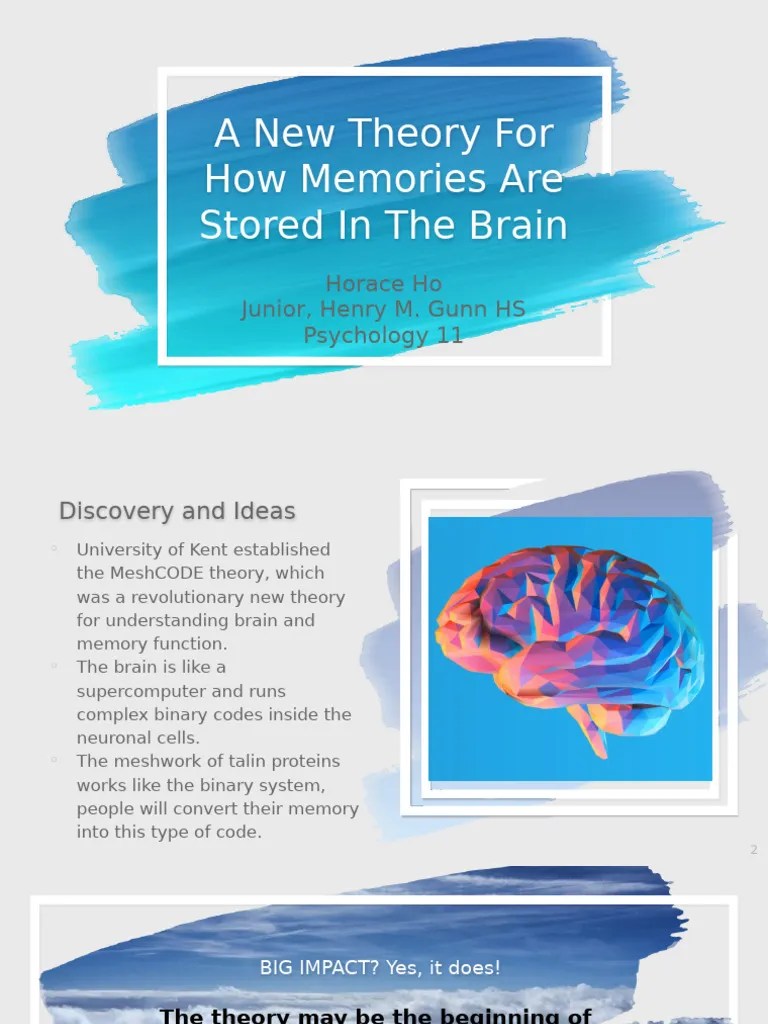 A New Theory For How Memories Are Stored In The BR | PDF