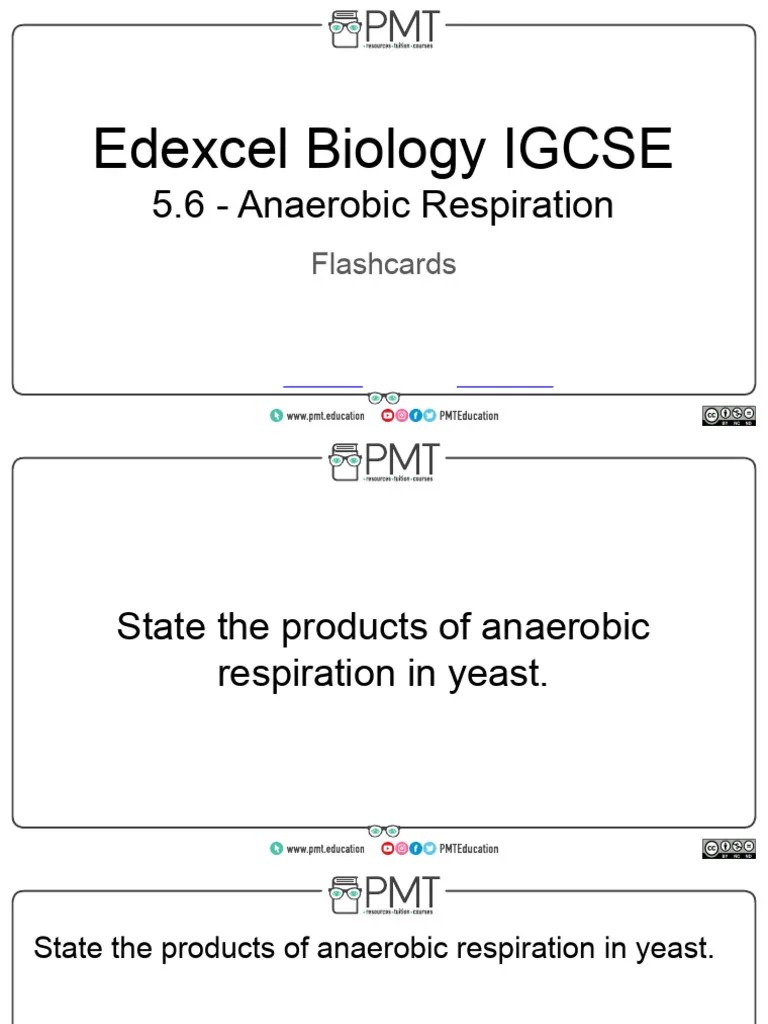 Flashcards - Anaerobic Respiration - Edexcel Biology IGCSE | PDF ...