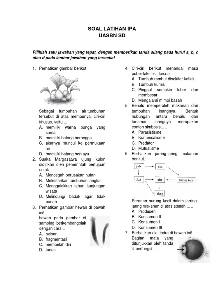 Buku soal un uasbn sd mi paten 2020 erlangga kelas 6. Try Out Ipa Sd Pdf