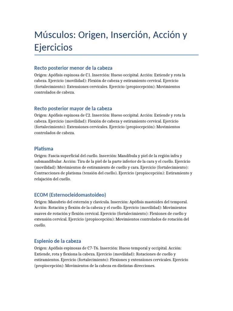 Musculos Origen Insercion Accion Ejercicios | PDF | Codo | Hombro