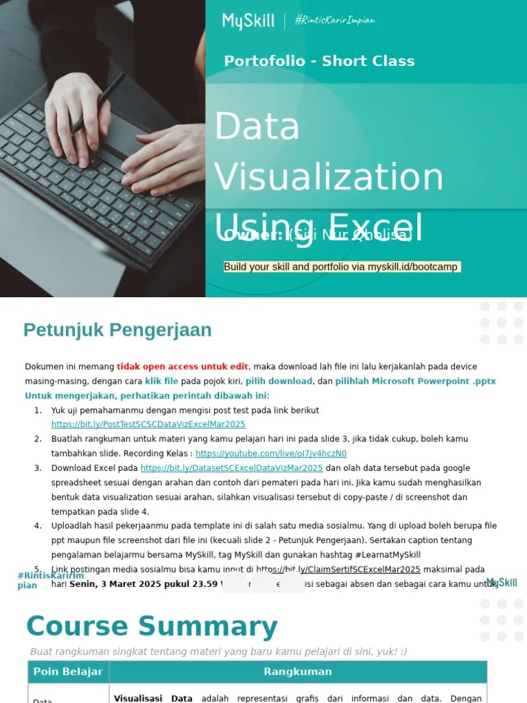 Mini Task SC Excel - Data Visualization | PDF