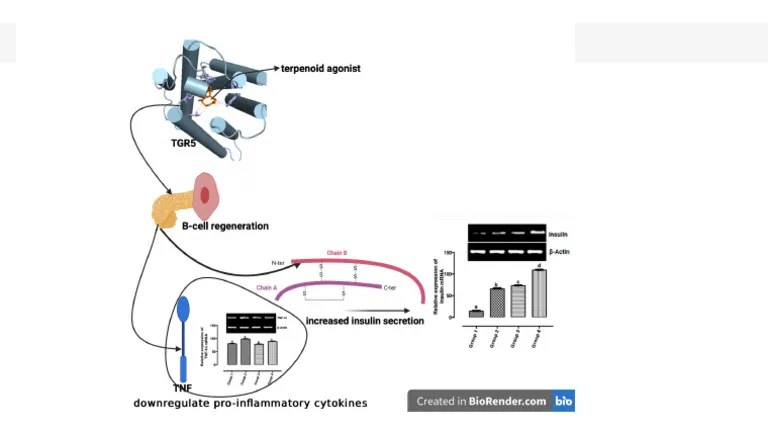 BioRender-for-PowerPoint | PDF