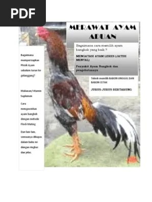 Apakah kamu memiliki hewan peliharaan seperti gambar di bawah ini? Merawat Ayam Bangkok Pdf