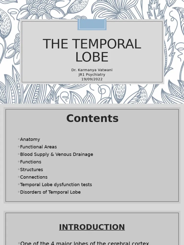 The Temporal Lobe (Autosaved) | PDF | Temporal Lobe | Auditory System