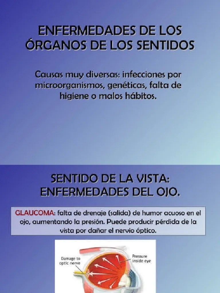 Enfermedades Rganos De Los Sentidos | PDF