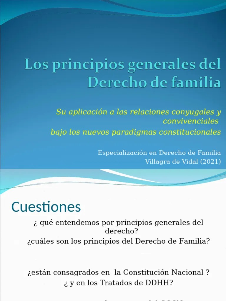 Principios Generales Del Derecho De Familia (2025) | PDF | Derechos Humanos | Filosofía Aplicada