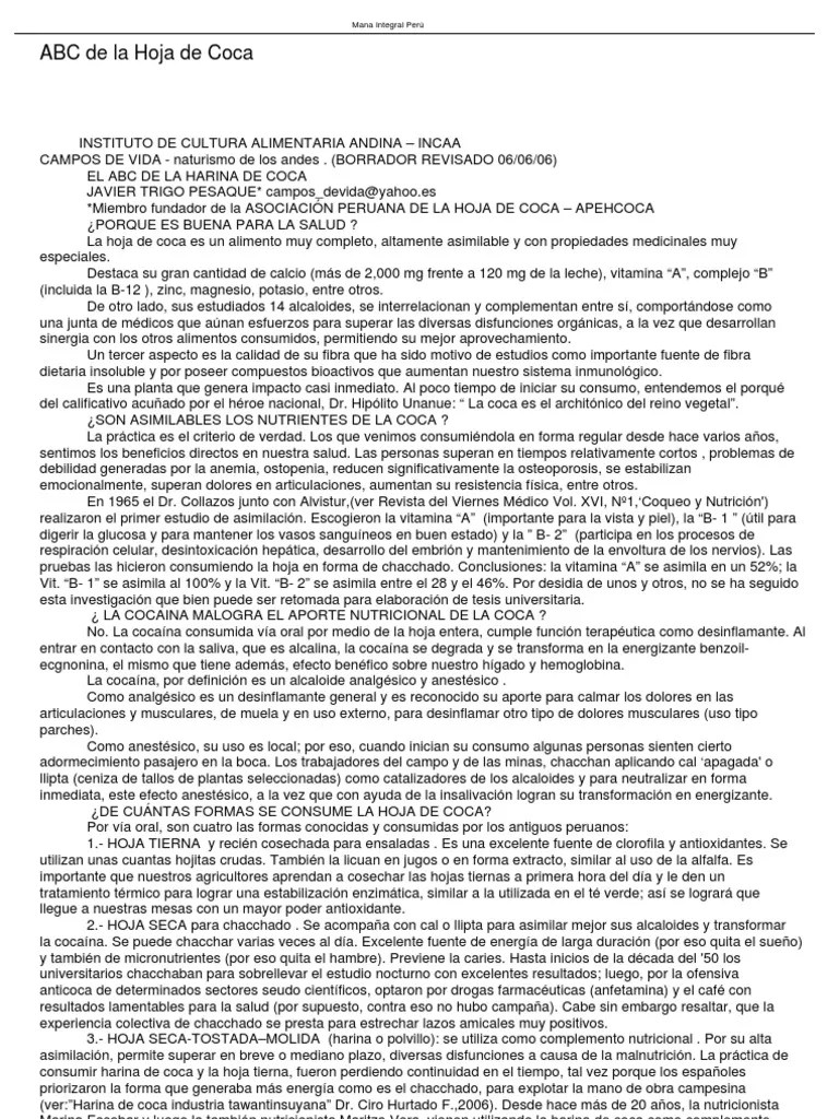 La Hoja De Coca | PDF | Cocaína | Fibra Dietética