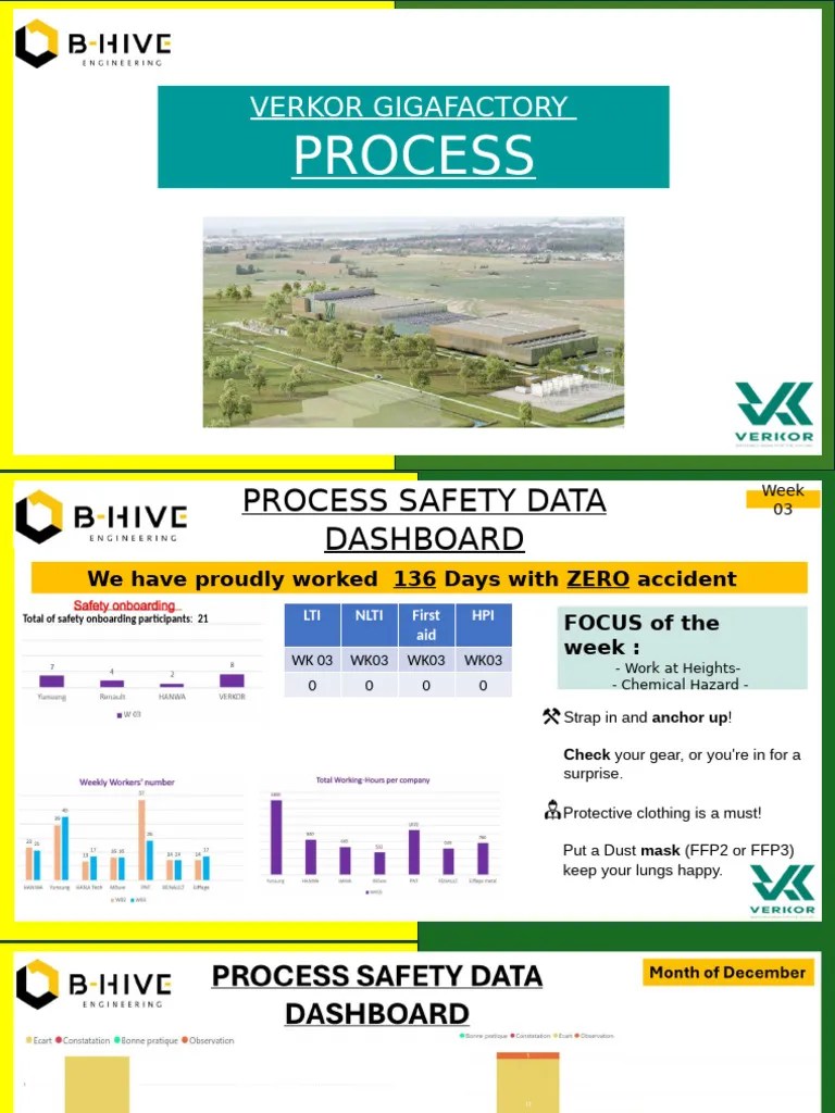 Safety Data Print Pdf