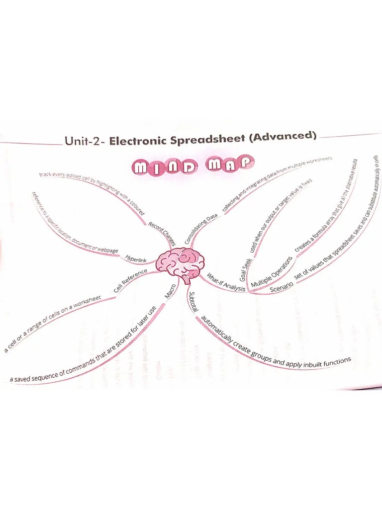 Grade 10 Unit 2 Electronic Spreadsheet 1 Pdf
