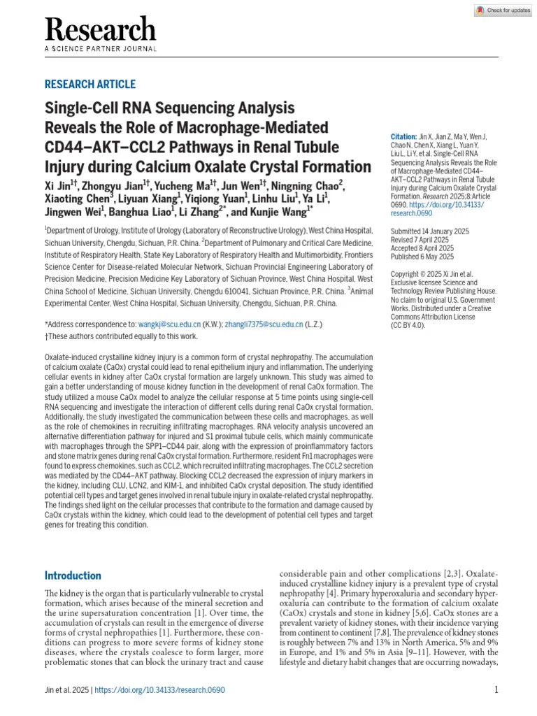 Single-Cell RNA Sequencing Analysis | PDF | Macrophage | Monocyte