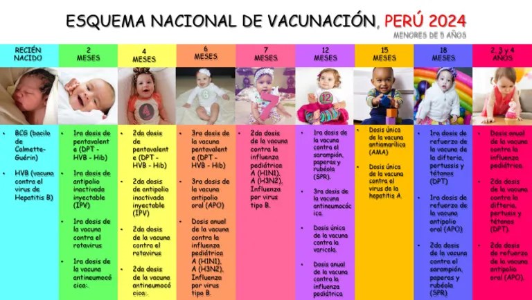 Esquema Nacional De Vacunacion Peru 2023 | PDF | Vacunas | Especialidades Medicas